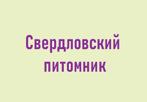 Началось размещение рекламы Свердловского питомника.