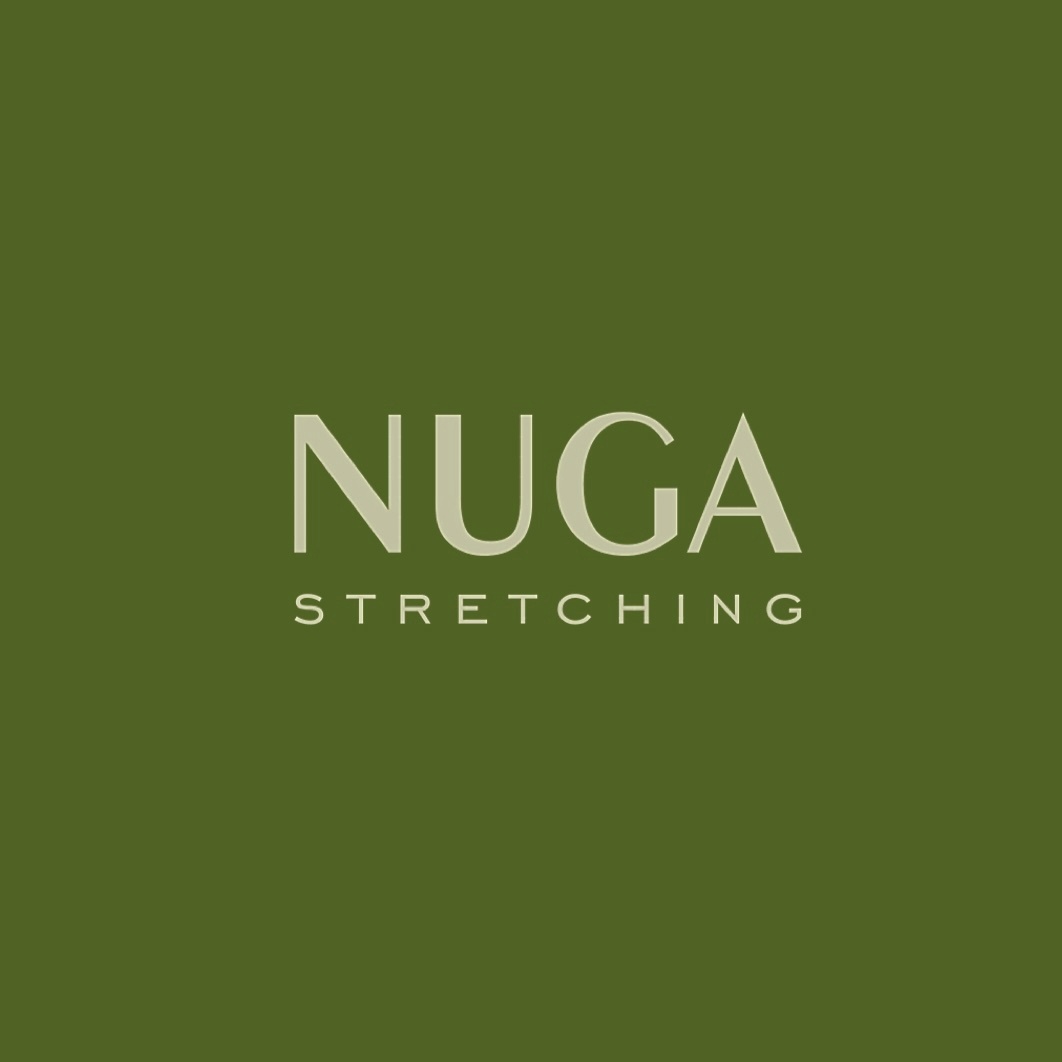 Началось размещение рекламы студии растяжки "NUGA"