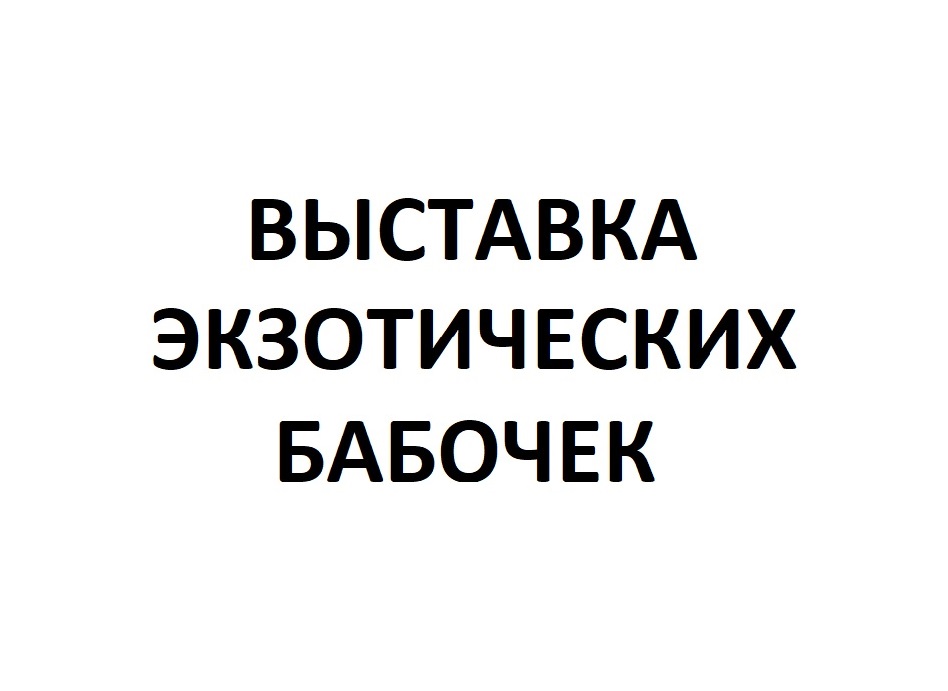 Началось размещение рекламы выставки экзотических бабочек.
