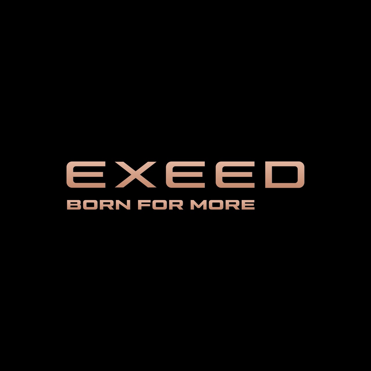 Началось  размещение рекламы компании "EXEED"