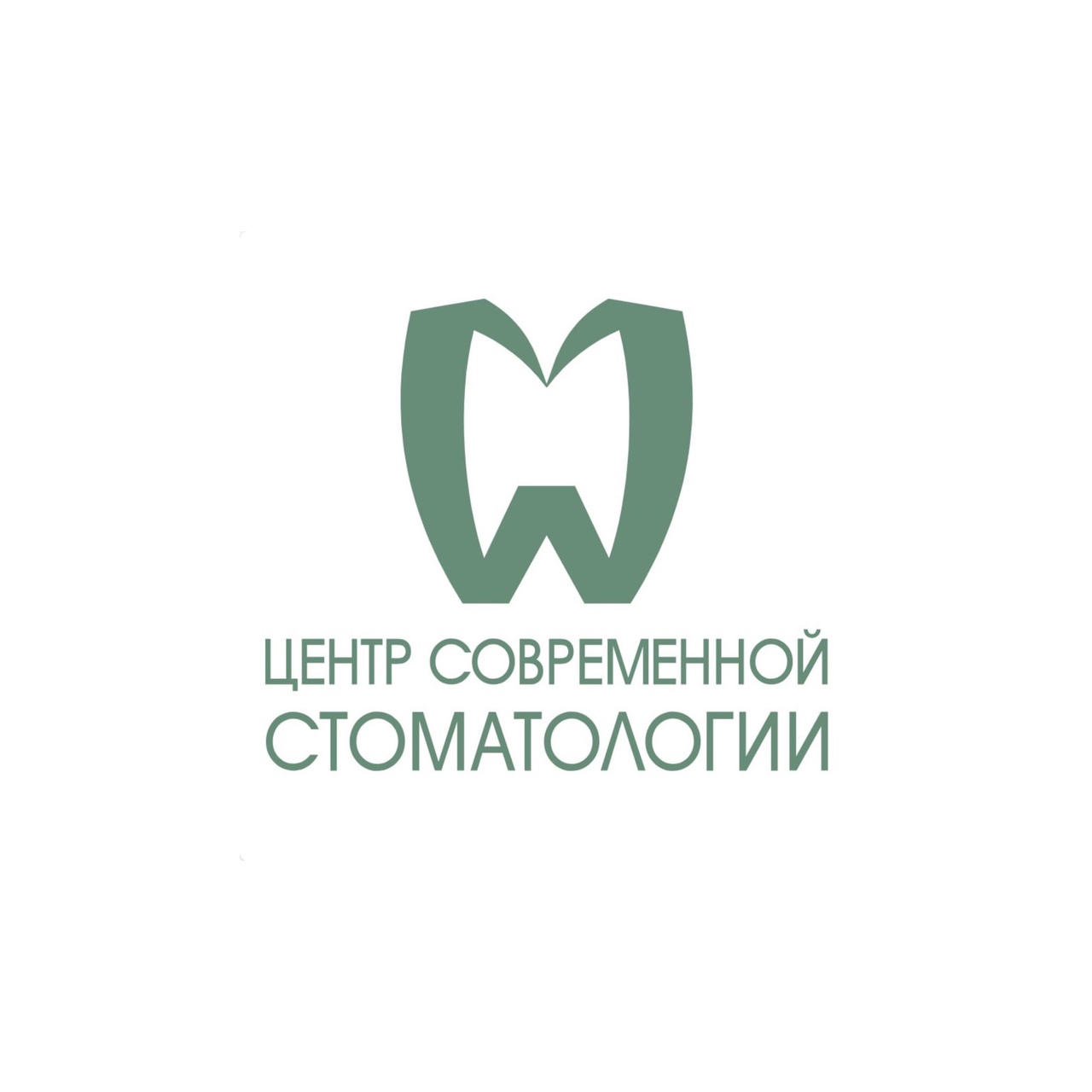 Началось размещение рекламы компании "Центр Современной Стоматологии"