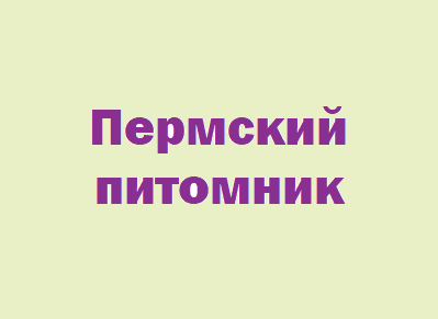 Началось размещение рекламы Пермского питомника.