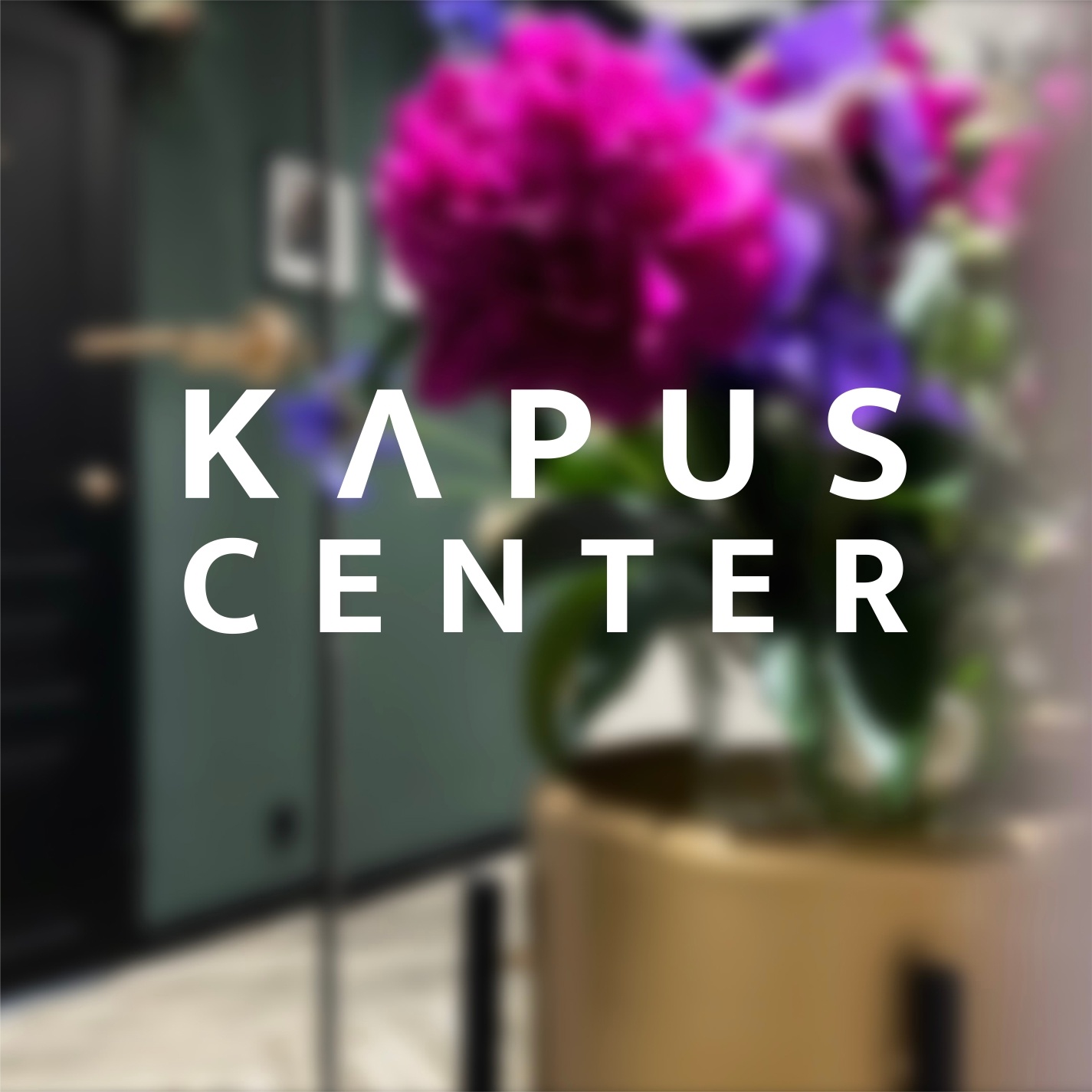 Началось размещение рекламы компании "Kapus Center"